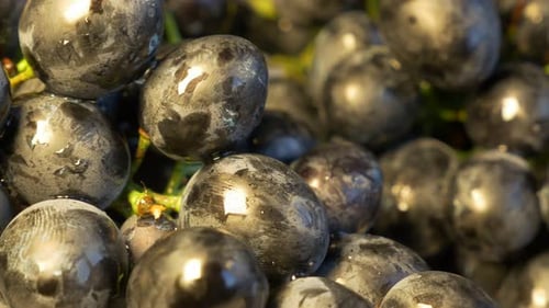Traube frische saftige Früchte Hintergrund in 4K UHD 2160p Aufnahmen - Vine Nahaufnahme 4K UHD 3840X2160 Schwenken