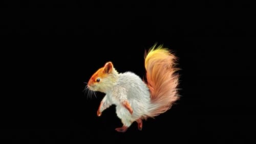 66 Weißes Eichhörnchen Tanzen HD