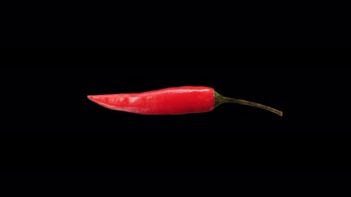 Realistic Red Chili Rotating With Alpha Channel
