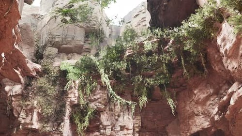 Inside a Limestone Cave with Plants and Sun Shine