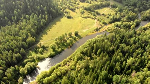 Aerial Flying of Drone Over River Field and Forest. Top View of Trees and Hills