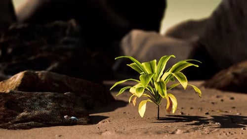 Plante verte à Sand Beach