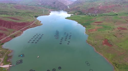 Pisciculture Fish Farming in Lake