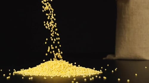 Bright Yellow Millet Seeds Pouring on Black Surface