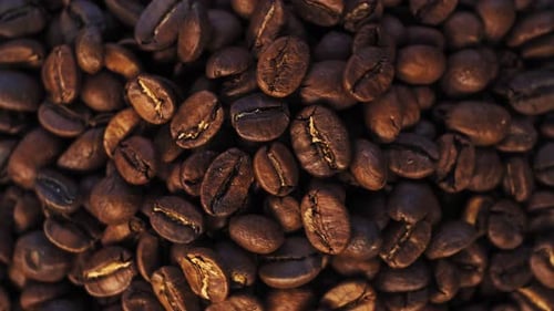 Dark Coffee Grains Rotating. Coffee Beans. Close Up of Seeds of Coffee. Beautiful Seeds of Coffee.
