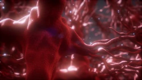 Abstract Organic Neuron Network Cell Animation