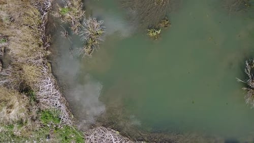 Aerial view looking down at beaver pond with sticks lining the shore