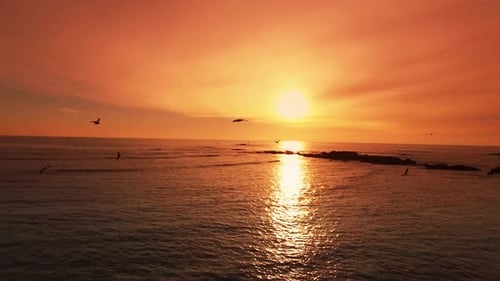 Ocean Sunset with Flying Birds