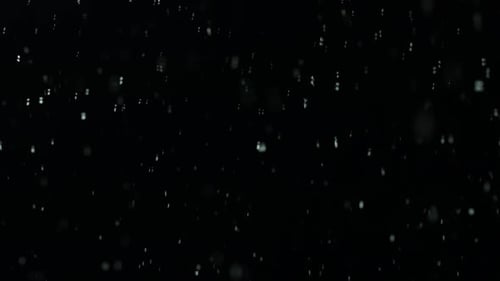 Schneit 11
