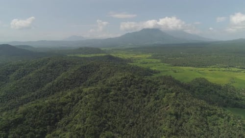 Tropische Landschaft mit Palmen. Philippinen, Luzon