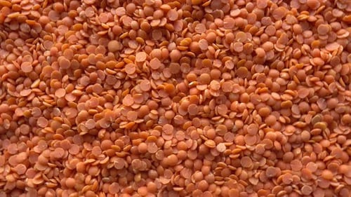 Heap of Dried Orange-Red Lentils