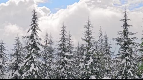 Cloudy Winter Day