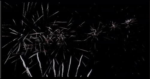 White Fireworks Exploding Against a Black Night Sky