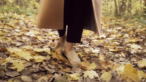 Legs of Woman Walking in Autumn Park