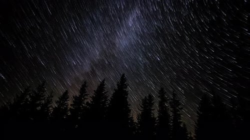 Star Trails in the Night Sky