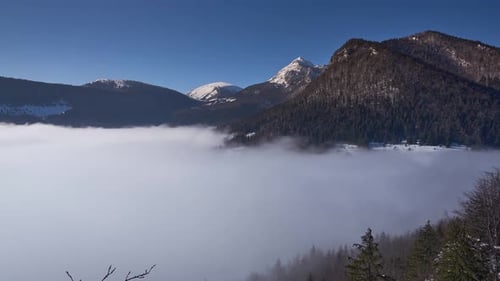 Low clouds in a valley in the Carpathian mountains.Fog in the valley below the mountains