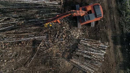 Top down aerial view of Harvester Cutting Tree Trunk in field near the forest 11