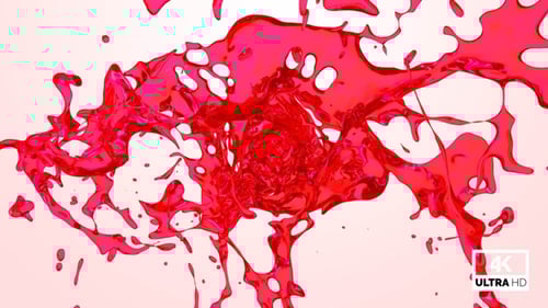 Vibrant Red Fluid Splash Transition with Alpha Channel