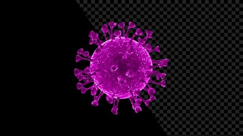 3D Pink Virus Cell Rotating Seamless Loop with Alpha Channel