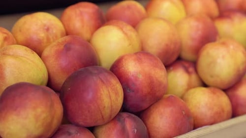 Fresh Nectarines on Display Being Picked Up