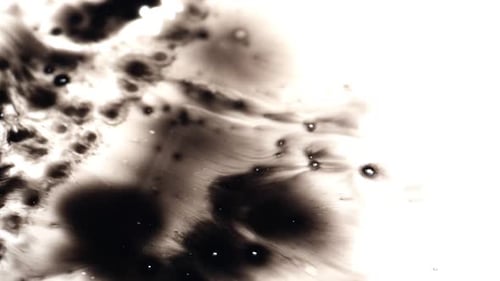 Black Ink Drops Spreading on White Surface