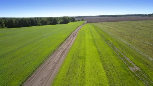 Long Grey Road Between Plowed and Green Fields with Forest