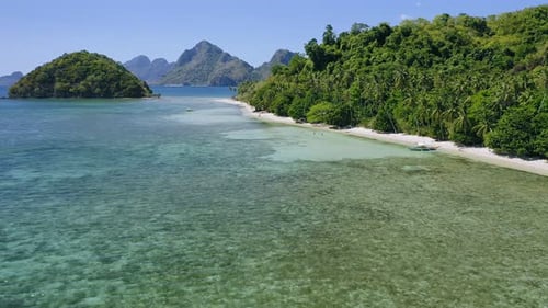 Aerial Drone Flying Over Shallow Clear Water Along Paradise Tropical Beach with Coconut Palms