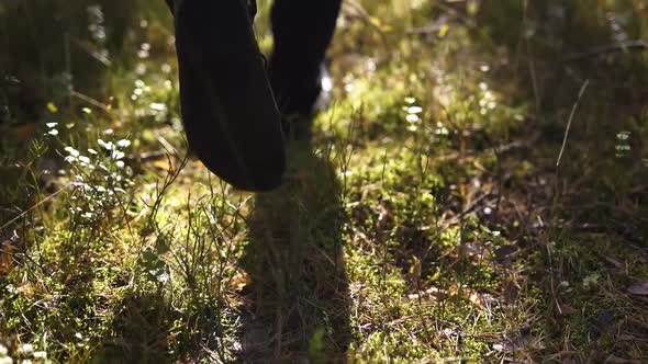 Slow motion shot of following the footsteps of someone moving through a ...