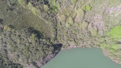 Lake and Green Forest