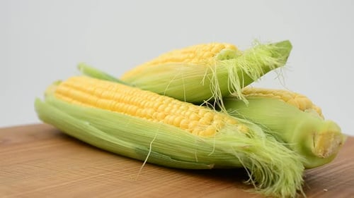 Corn 5