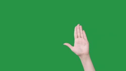 Hand Against Green Screen For Compositing