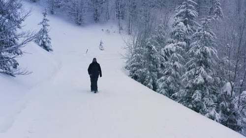 A Tired Tourist Walks Slowly in the Snow Along a Snowy Path in a Dense Forest