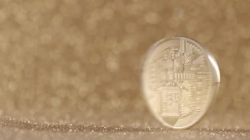 Moneda Bitcoin Gold BTC