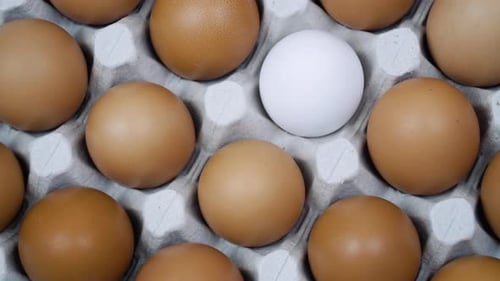 Large Tray of Eggs is Spinning