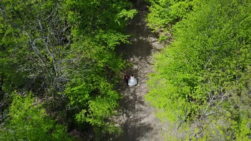 Newlyweds in the Woods