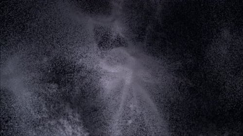 Abstract Powder Burst on Black Background