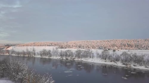 Drone shooting of a river against the background of a forest and a bridge