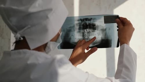 Doctor Analyzing Dental X-Ray in a Clinic