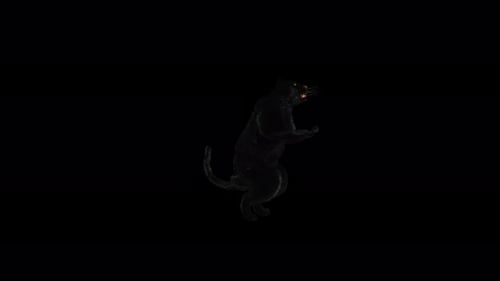 Animated 3D Black Panther Rearing and Dancing