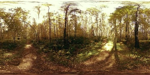 Realidad virtual UHD 360 VR de un área recreativa de un parque urbano. Árboles y hierba verde en otoño o verano