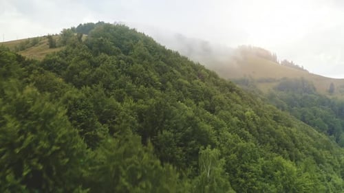 Heavy Fog Over Mountain Forest Aerial
