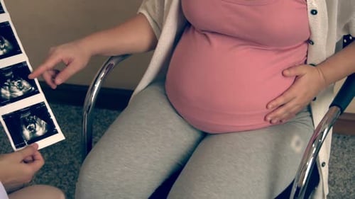 Pregnant Woman and Gynecologist Doctor at Hospital