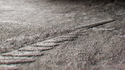 Organic Fern Leaf Unveiling on Textured Surface