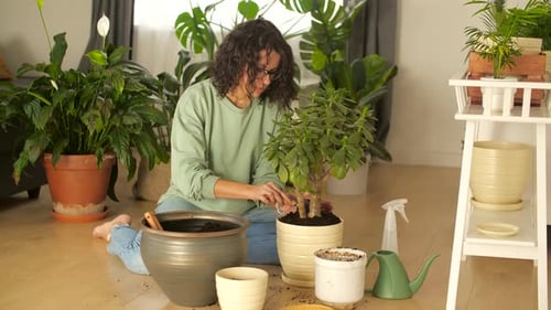 Hobby and Interior Concept