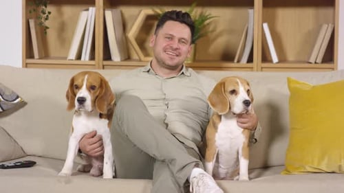 Man Sitting on Couch with Two Beagle Dogs