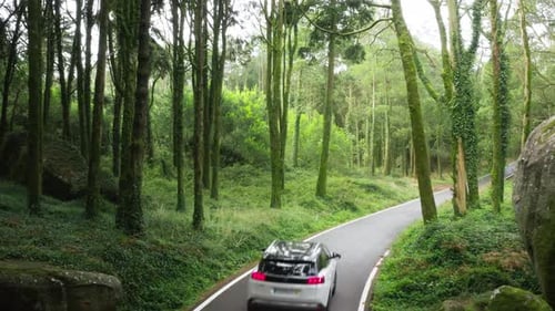 Drone Footage of a Car Driving Along a Road in the Woods