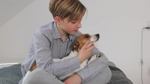 Boy Comforting Pet Dog Sitting on Bed