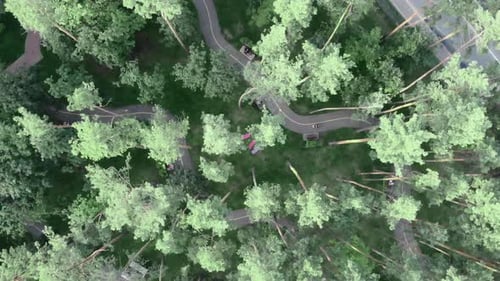 Drone flying over beautiful modern city park with green trees and lawns, footpath and benches.