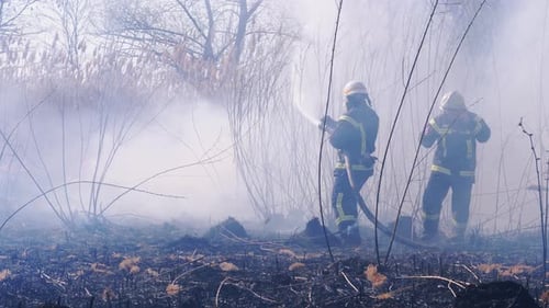 Two Firefighters in Equipment Extinguish Forest Fire with Fire Hose. Slow Motion
