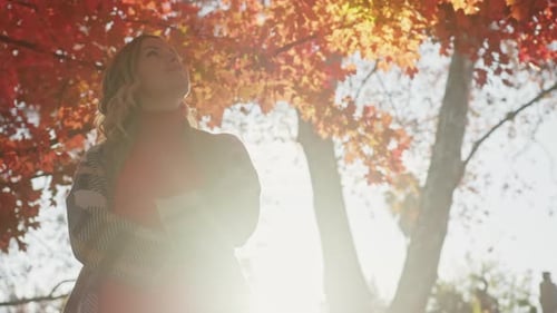 Slow Motion Autumn Portrait of Smiling Woman Touching Red Maple Tree Leaves
